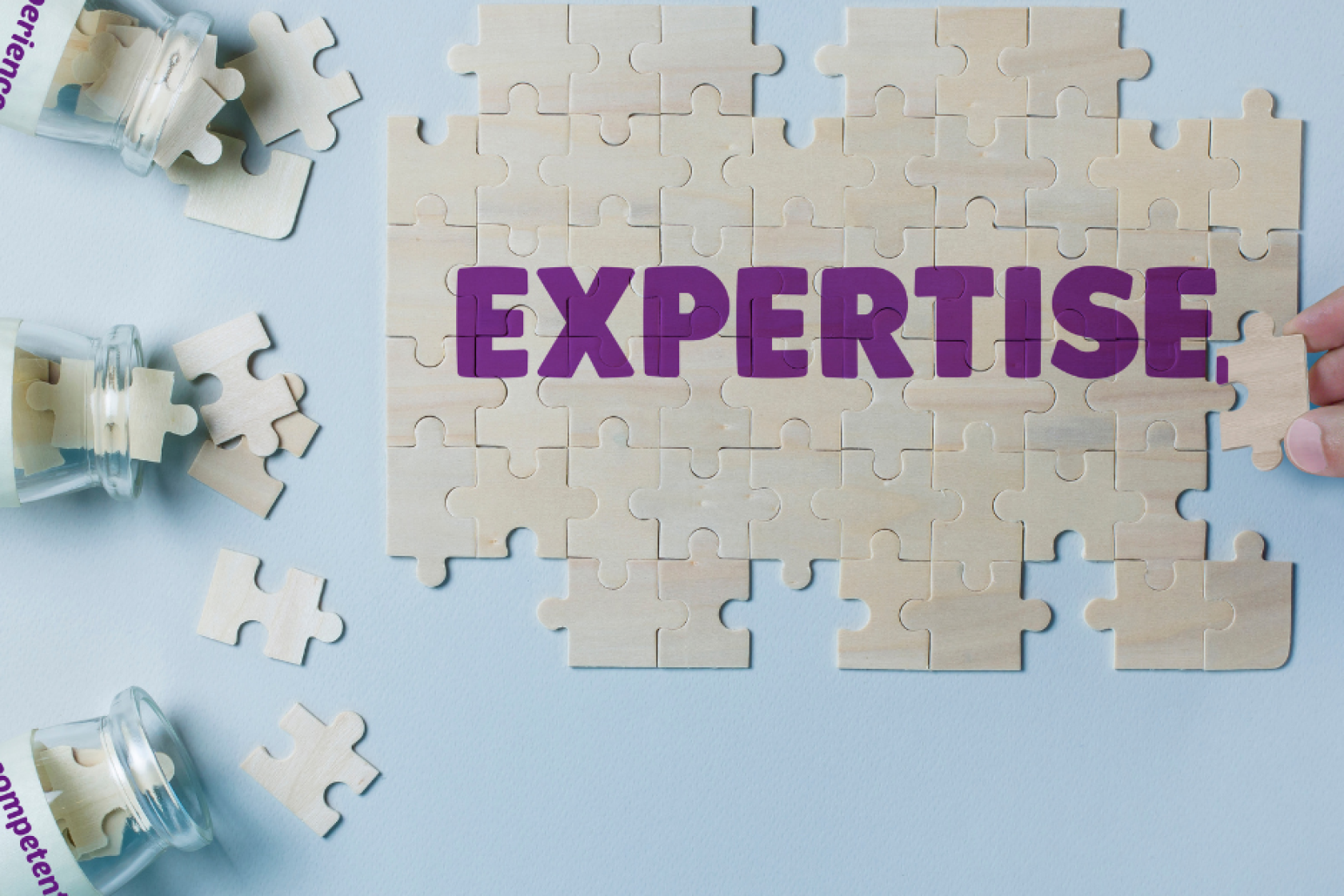 CVP expertise.png