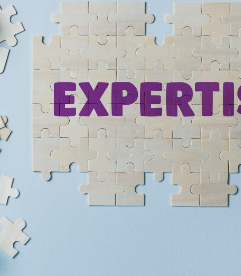 CVP expertise.png