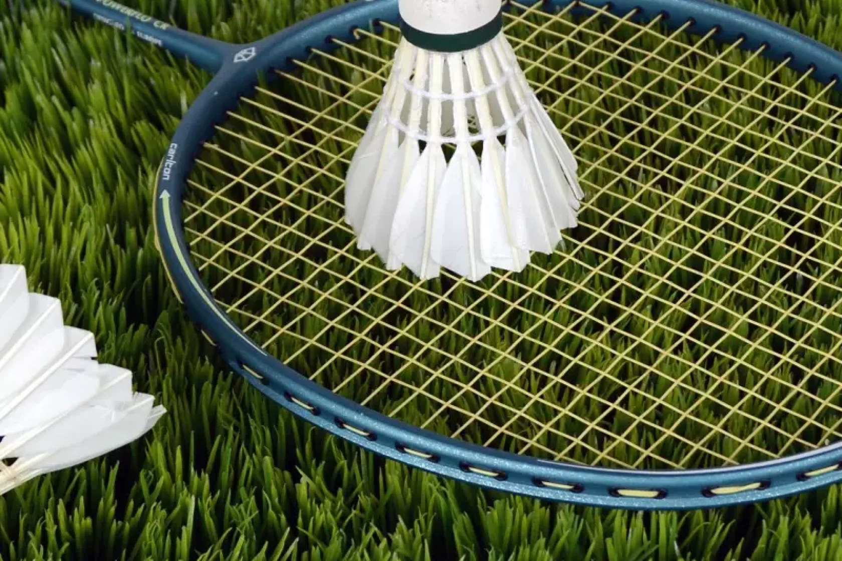 badminton-1428046_1920.jpg.webp