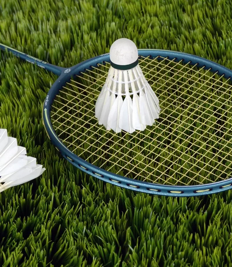 badminton-1428046_1920.jpg.webp